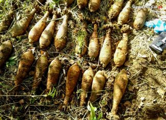 Śląsk. Poszedł na grzyby… znalazł 25 granatów moździerzowych!