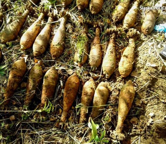 Śląsk. Poszedł na grzyby… znalazł 25 granatów moździerzowych!