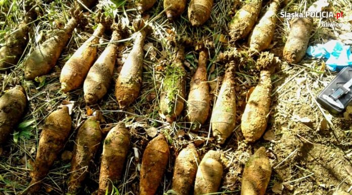 Śląsk. Poszedł na grzyby… znalazł 25 granatów moździerzowych!