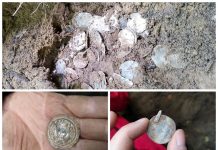 Skarb blisko 300 srebrnych monet z pierwszego tysiąclecia n.e. odkryto na Pomorzu (GALERIA)