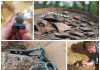 Sensacja archeologiczna. Groby wojowników i nie tylko… odkryte pod Gorzowem (GALERIA)