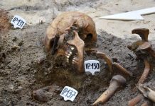 Genetycy podejmą próbę odtworzenia twarzy poległych obrońców Westerplatte