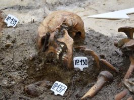 Genetycy podejmą próbę odtworzenia twarzy poległych obrońców Westerplatte