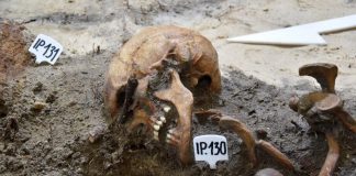 Genetycy podejmą próbę odtworzenia twarzy poległych obrońców Westerplatte