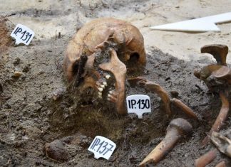 Genetycy podejmą próbę odtworzenia twarzy poległych obrońców Westerplatte