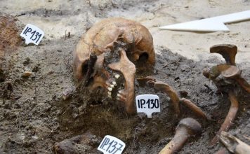 Genetycy podejmą próbę odtworzenia twarzy poległych obrońców Westerplatte