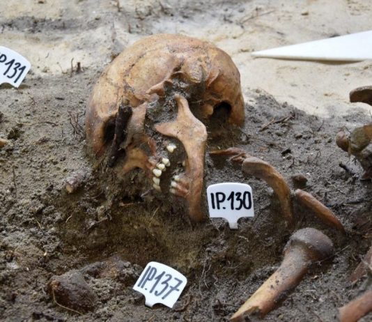 Genetycy podejmą próbę odtworzenia twarzy poległych obrońców Westerplatte