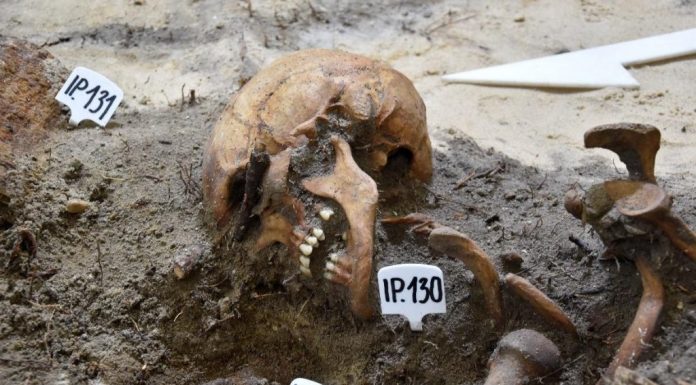 Genetycy podejmą próbę odtworzenia twarzy poległych obrońców Westerplatte