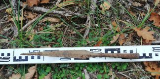 Leśnicy odkryli wczesnośredniowieczny grot włóczni (GALERIA)