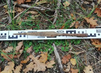Leśnicy odkryli wczesnośredniowieczny grot włóczni (GALERIA)