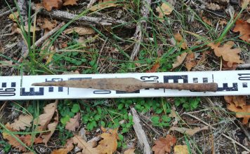 Leśnicy odkryli wczesnośredniowieczny grot włóczni (GALERIA)