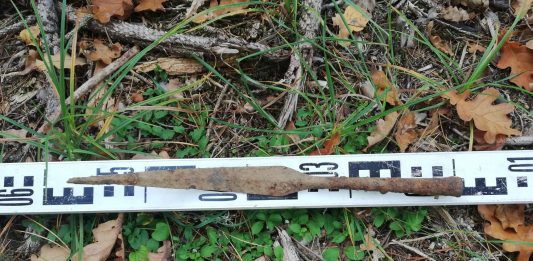 Leśnicy odkryli wczesnośredniowieczny grot włóczni (GALERIA)