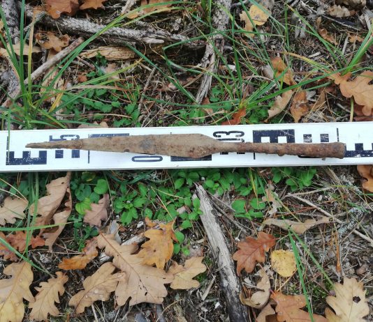 Leśnicy odkryli wczesnośredniowieczny grot włóczni (GALERIA)