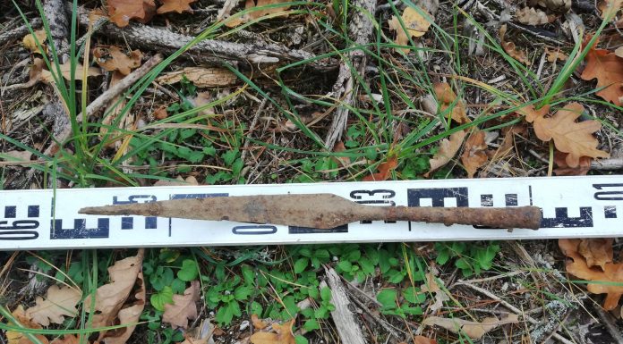 Leśnicy odkryli wczesnośredniowieczny grot włóczni (GALERIA)