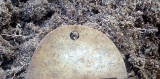 Połówka polskiego nieśmiertelnika… dane na nim nie zostały wybite – zostały wydrapane!