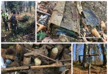 Poszukiwacze podążają tropem krwawej bitwy w Bieszczadach (GALERIA + FILM)