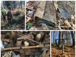 Poszukiwacze podążają tropem krwawej bitwy w Bieszczadach (GALERIA + FILM)