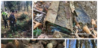 Poszukiwacze podążają tropem krwawej bitwy w Bieszczadach (GALERIA + FILM)