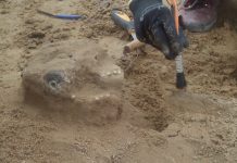 Szczątki z średniowiecznego cmentarza w Płocku zbadają antropolodzy