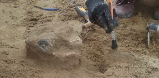 Szczątki z średniowiecznego cmentarza w Płocku zbadają antropolodzy