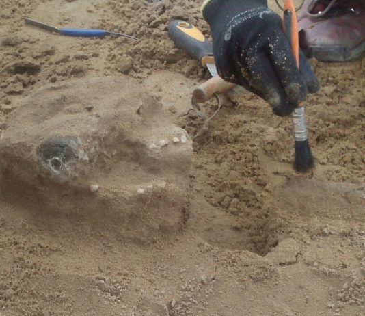 Szczątki z średniowiecznego cmentarza w Płocku zbadają antropolodzy