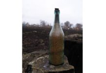 Kiedyś ziarno było skarbem… wartym więcej niż złoto! Historia wielkiego głodu na Ukrainie