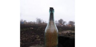 Kiedyś ziarno było skarbem… wartym więcej niż złoto! Historia wielkiego głodu na Ukrainie