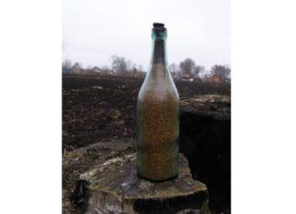 Kiedyś ziarno było skarbem… wartym więcej niż złoto! Historia wielkiego głodu na Ukrainie