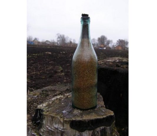 Kiedyś ziarno było skarbem… wartym więcej niż złoto! Historia wielkiego głodu na Ukrainie