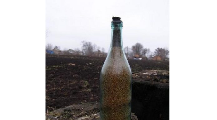 Kiedyś ziarno było skarbem… wartym więcej niż złoto! Historia wielkiego głodu na Ukrainie