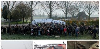 „DigDay” – czyli Polski zlot poszukiwaczy… na holenderskiej ziemi. Galeria i podsumowanie.