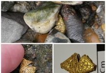 Bez pomocy wykrywacza znalazł ponad tysiącletnią złotą ozdobę! (GALERIA)