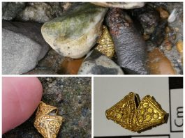 Bez pomocy wykrywacza znalazł ponad tysiącletnią złotą ozdobę! (GALERIA)