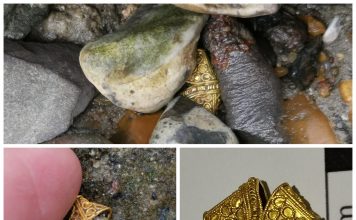 Bez pomocy wykrywacza znalazł ponad tysiącletnią złotą ozdobę! (GALERIA)