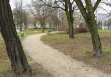 Poznań. Znaleźli osadę sprzed 2 tys. lat budując trasę pod tramwaje