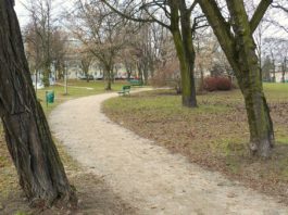 Poznań. Znaleźli osadę sprzed 2 tys. lat budując trasę pod tramwaje