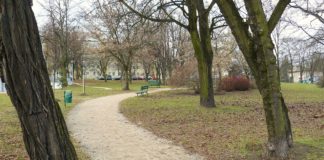 Poznań. Znaleźli osadę sprzed 2 tys. lat budując trasę pod tramwaje