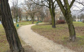 Poznań. Znaleźli osadę sprzed 2 tys. lat budując trasę pod tramwaje