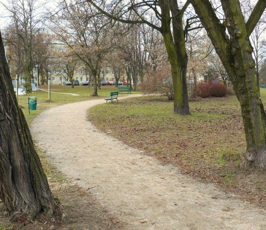 Poznań. Znaleźli osadę sprzed 2 tys. lat budując trasę pod tramwaje