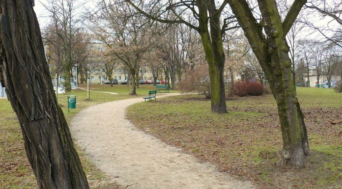 Poznań. Znaleźli osadę sprzed 2 tys. lat budując trasę pod tramwaje