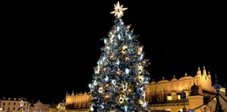 Czy wiesz, że choinka jest symbolem pogańskim?