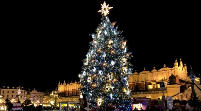 Czy wiesz, że choinka jest symbolem pogańskim?