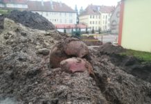 Bartoszyce. Rozkopali cmentarz – czaszki i kości na powierzchni… (GALERIA)
