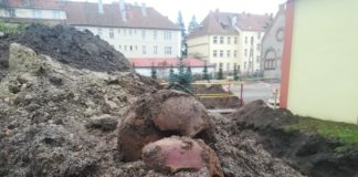 Bartoszyce. Rozkopali cmentarz – czaszki i kości na powierzchni… (GALERIA)