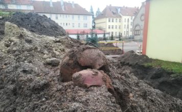 Bartoszyce. Rozkopali cmentarz – czaszki i kości na powierzchni… (GALERIA)