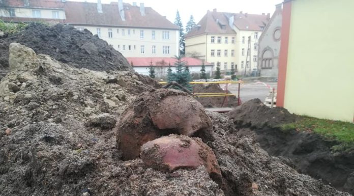 Bartoszyce. Rozkopali cmentarz – czaszki i kości na powierzchni… (GALERIA)