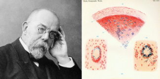 Wąglik, gruźlica i genialne dziecko… Robert Koch – laureat Nobla z 1905