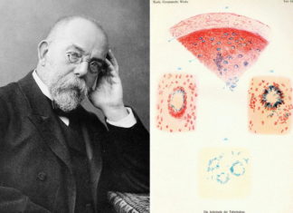 Wąglik, gruźlica i genialne dziecko… Robert Koch – laureat Nobla z 1905