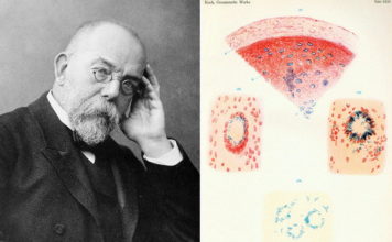 Wąglik, gruźlica i genialne dziecko… Robert Koch – laureat Nobla z 1905