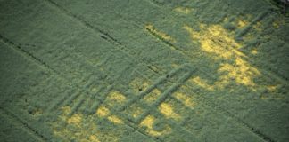 Zdjęcia lotnicze ukazują tajemnicze osadnictwo sprzed 7 tys. lat